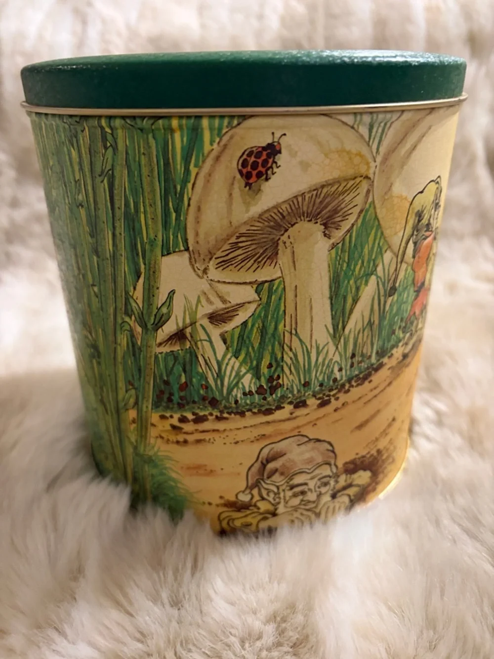 Vintage Charles Chips Music Box Tin: Gnomes in Nature